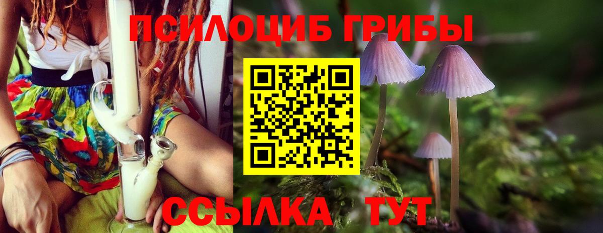 Пермь  Псилоцибиновые грибы Psilocybine cubensis  Вход с VPN 